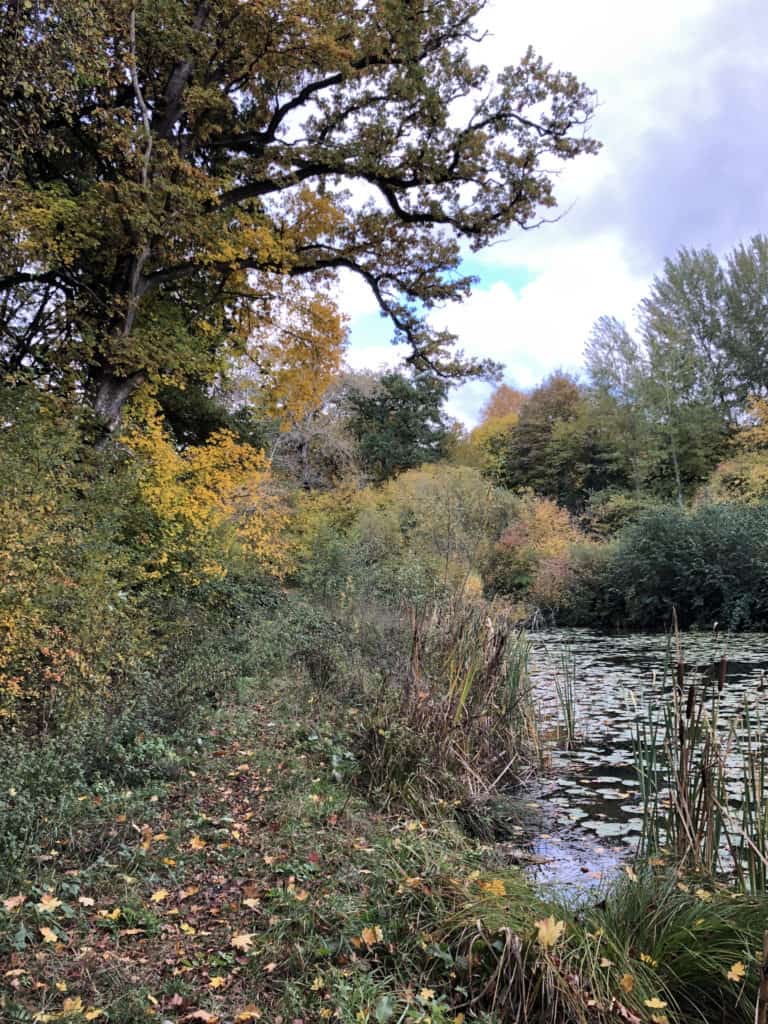 Schlossweiher